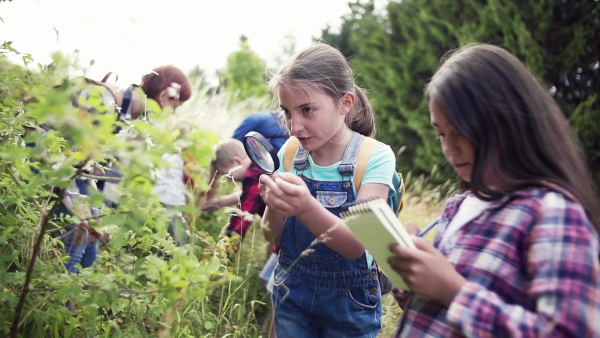 A group of small school children with teacher on field trip in nature, learning science. Slow motion.