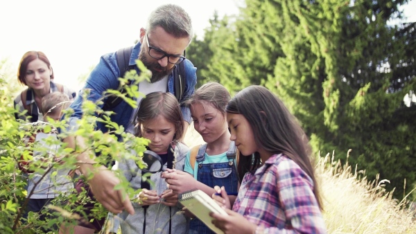 A group of small school children with teacher on field trip in nature, learning science. Slow motion.