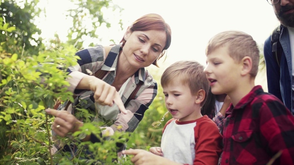 A group of small school children with teacher on field trip in nature, learning science. Slow motion.