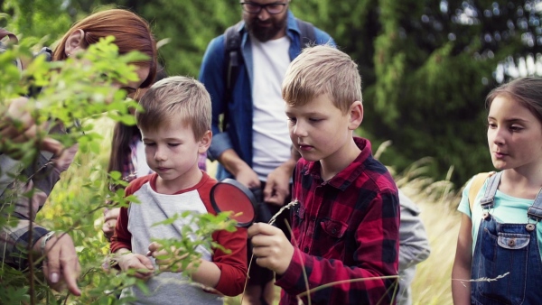 A group of small school children with teacher on field trip in nature, learning science. Slow motion.