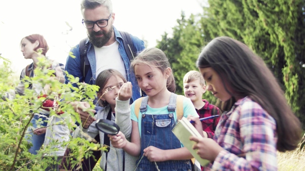 A group of small school children with teacher on field trip in nature, learning science.