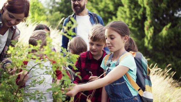 A group of small school children with teacher on field trip in nature, learning science. Slow motion.