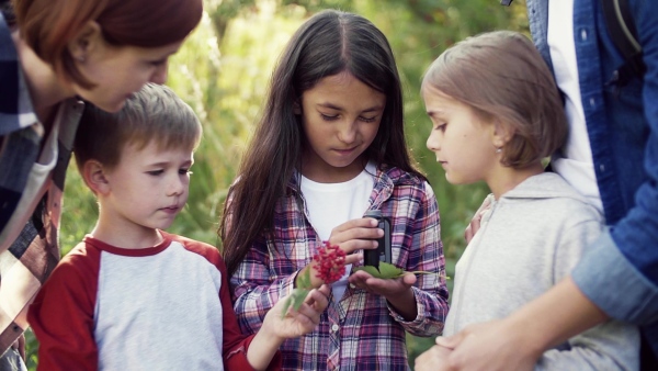 A group of small school children with teacher on field trip in nature, learning science. Slow motion.