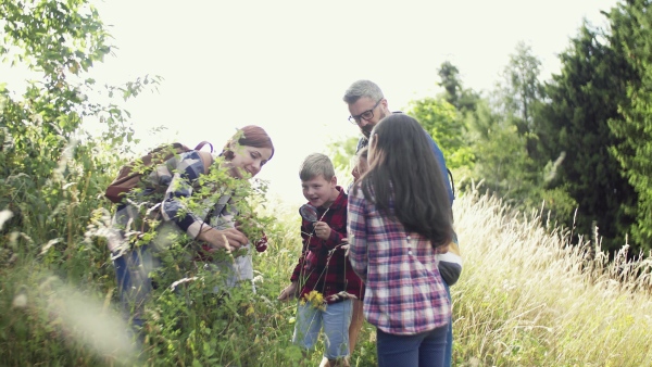 A group of small school children with teacher on field trip in nature, learning science.