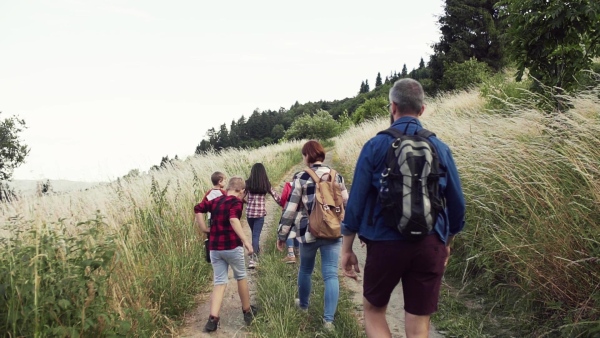 Rear view of group of school children with teacher on field trip in nature, walking. Slow motion.