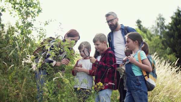 A group of small school children with teacher on field trip in nature, learning science.