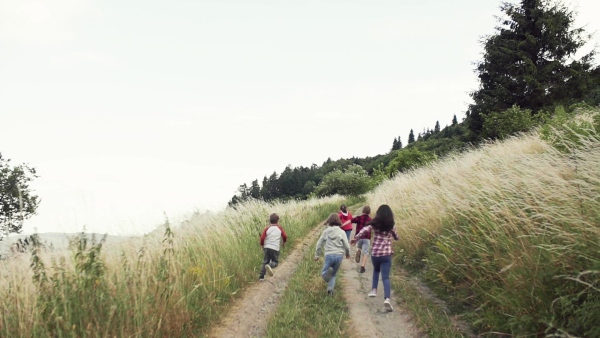 Rear view of group of school children running on field trip in nature. Slow motion.