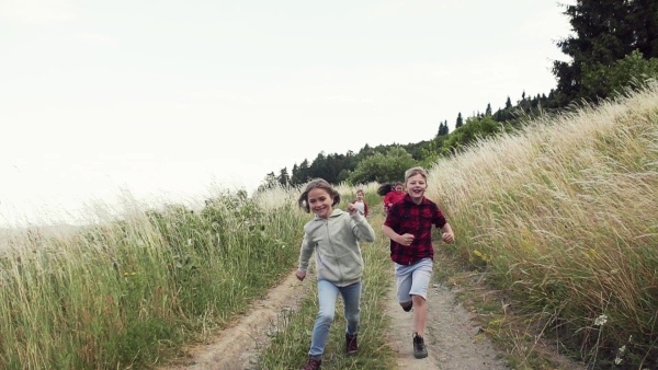 Front view of group of school children running on field trip in nature. Slow motion.