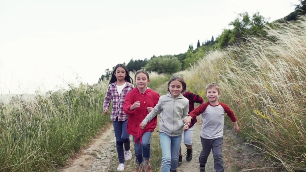 Front view of group of school children running on field trip in nature. Slow motion.