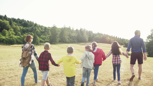 Rear view of group of school children with teacher on field trip in nature, walking. Slow motion.