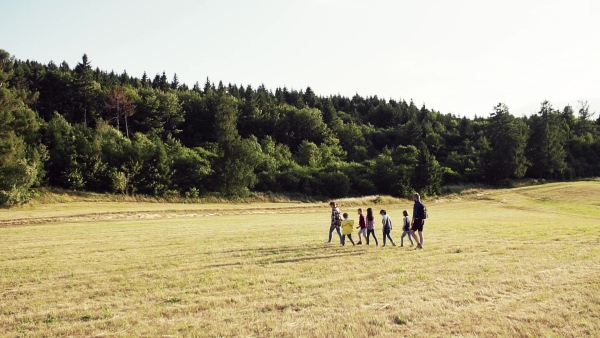 A group of small school children with teacher on field trip in nature, walking. Slow motion.