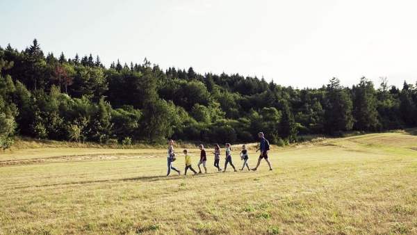 A group of small school children with teacher on field trip in nature, walking. Slow motion.