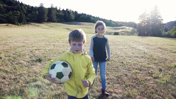 School children standing on field trip in nature, playing with a ball. Slow motion.