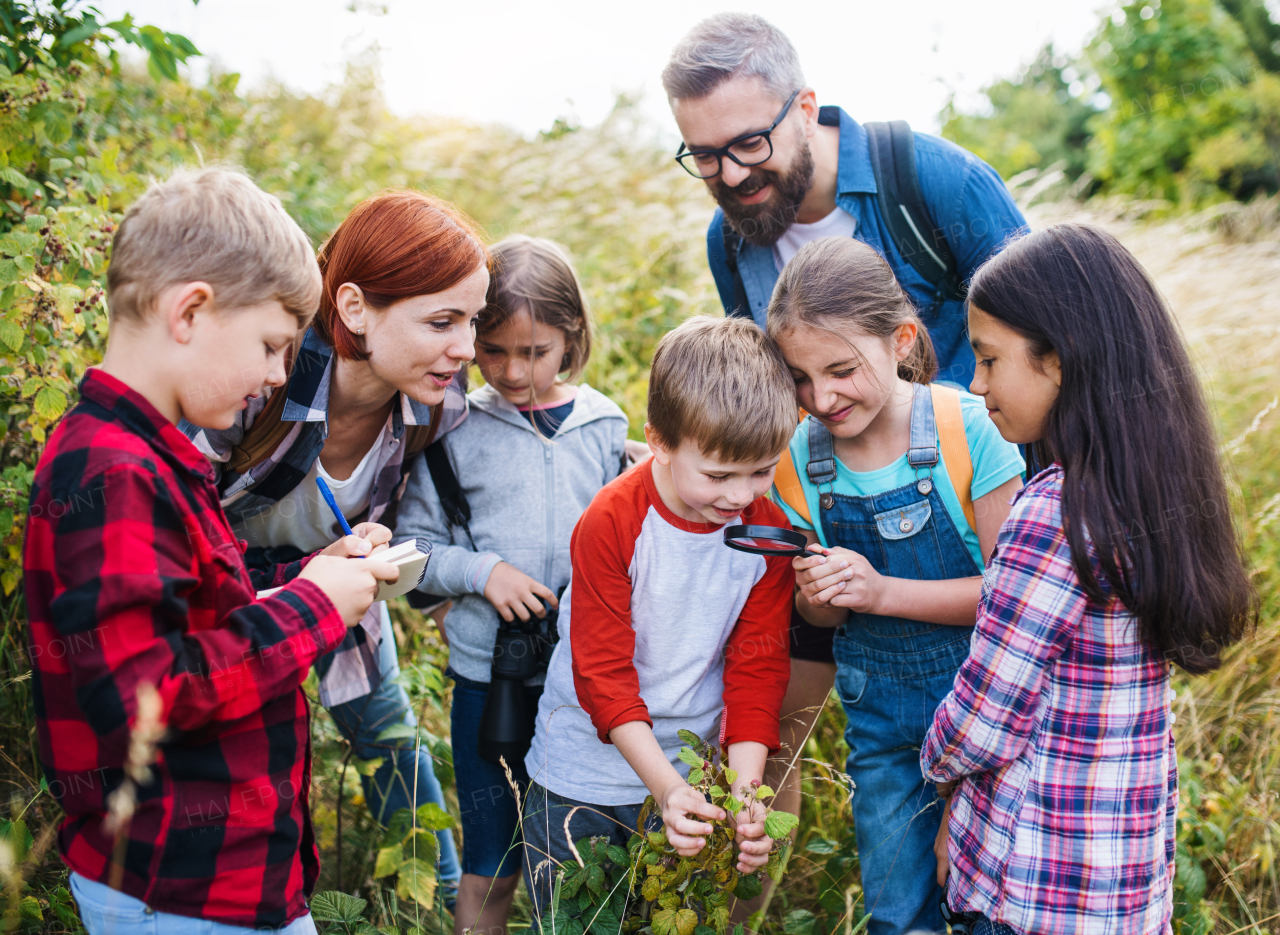 A group of small school children with teacher on field trip in nature, learning science.