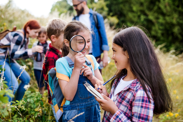 A group of small school children with teacher on field trip in nature, learning science.