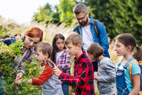 A group of small school children with teacher on field trip in nature, learning science.