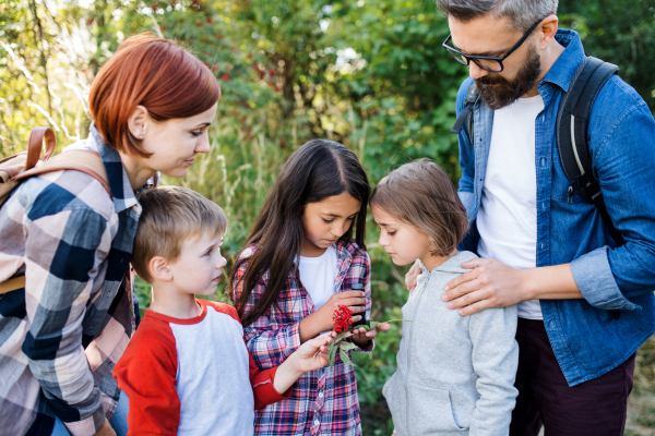 A group of small school children with teacher on field trip in nature, learning science.