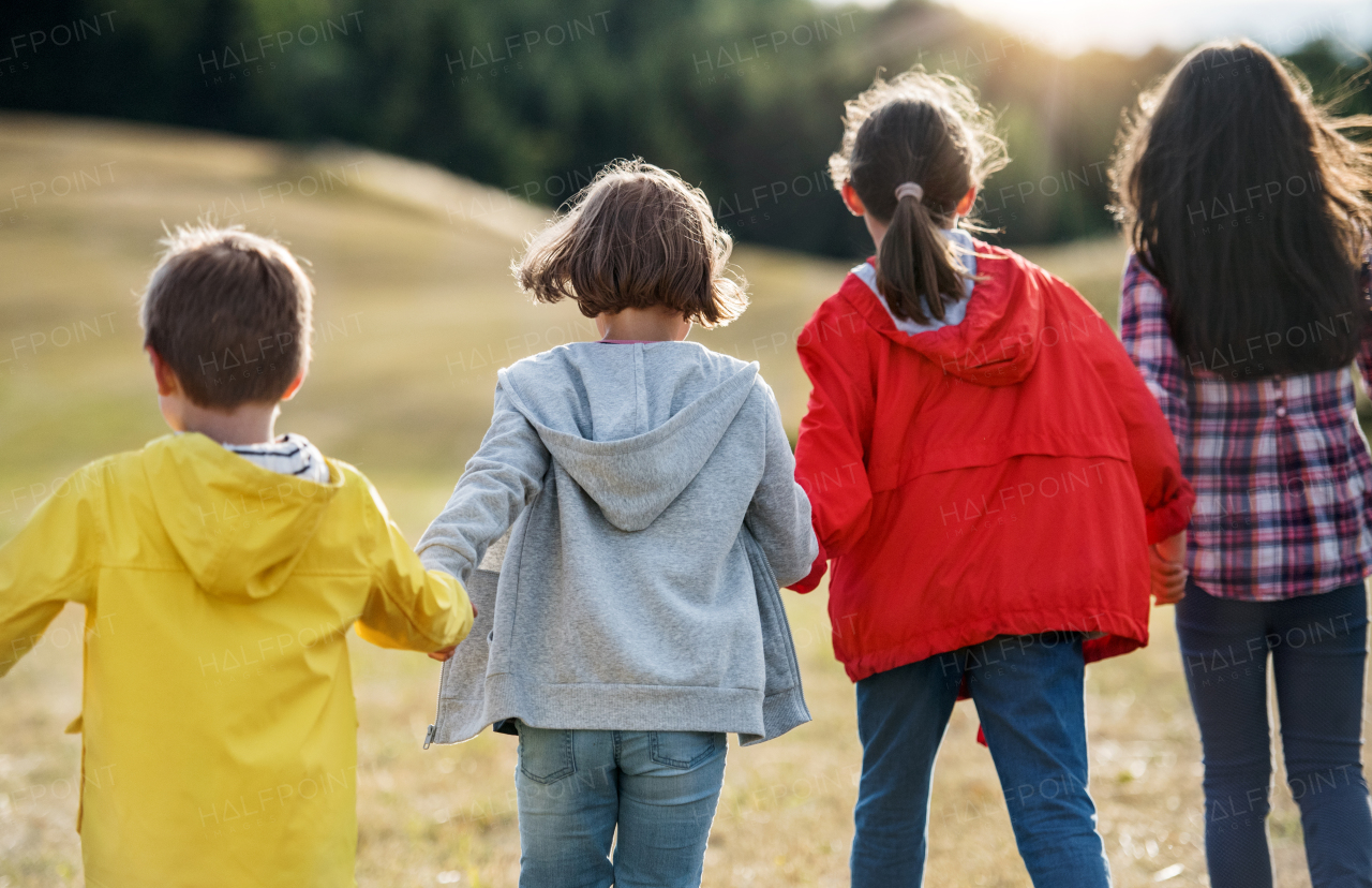 Rear view of group of school children walking on field trip in nature, holding hands.