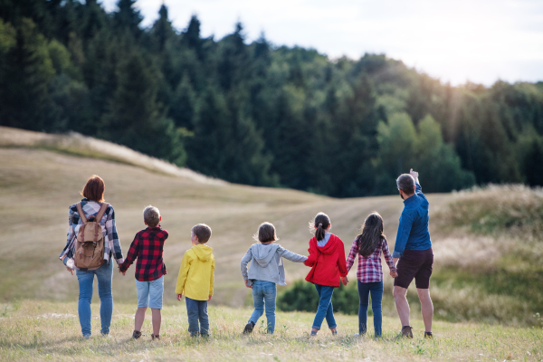 Rear view of group of school children with teacher on field trip in nature, walking.