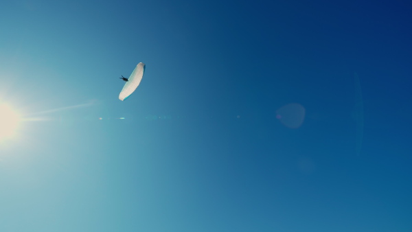 A paraglider in the blue sky. The sportsman flying on a paraglider.