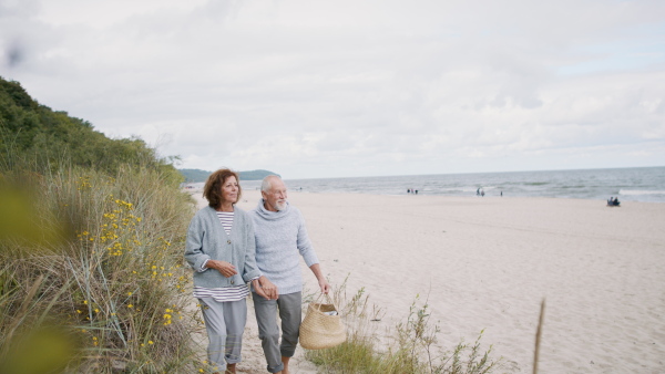 A happy senior couple in love on walk outdoors on beach at morning, holding hands.