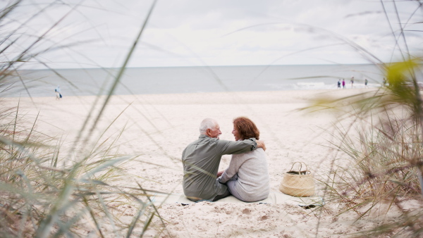 A rear view of happy senior couple outdoors on beach, sitting and hugging.