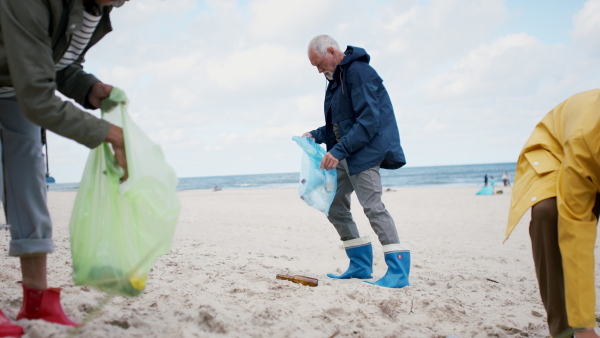 A grandparents with their granddaughter collecting garbage on beach, enviromental activists concept.