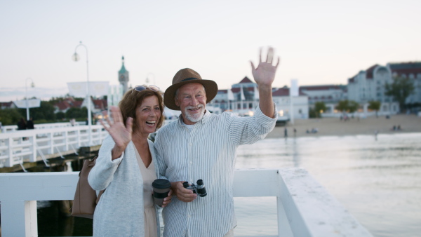 A happy senior couple vawing outdoors on pier by sea.