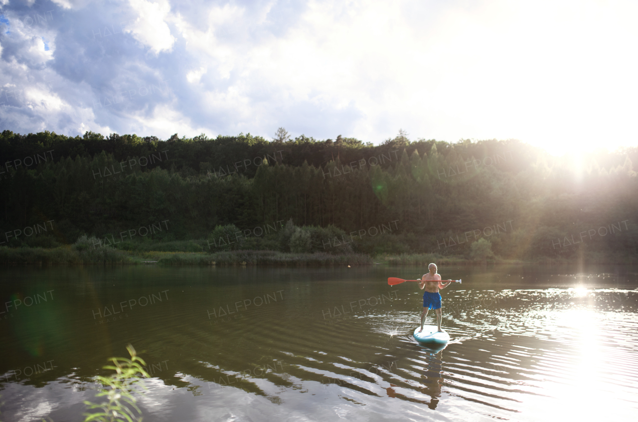 Front view of senior man paddleboarding on lake in summer. Copy space.