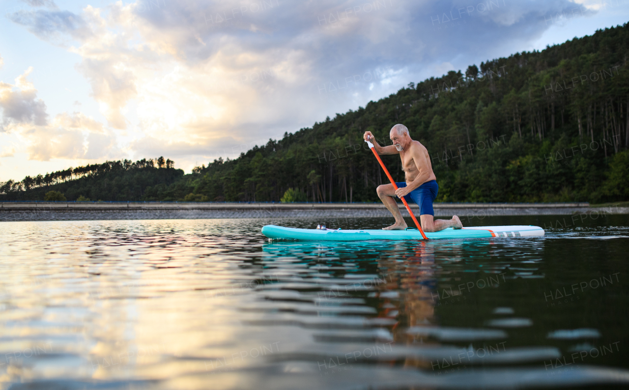 Front view of senior man paddleboarding on lake in summer. Copy space.