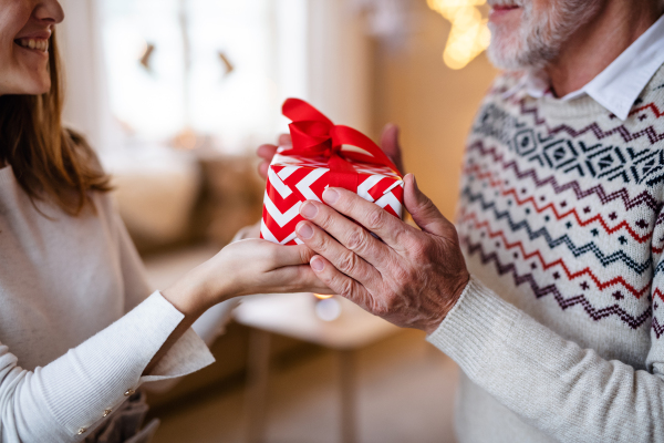 Unrecognizable young woman giving present to senior grandfather indoors at home at Christmas, midsection.