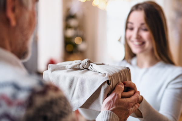 Surprised young woman receiving present from unrecognizable grandfather indoors at home at Christmas.