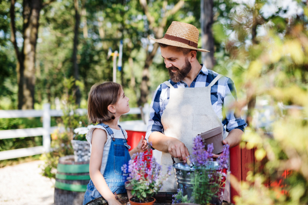 A mature father with small daughter outdoors on family farm, planting herbs.