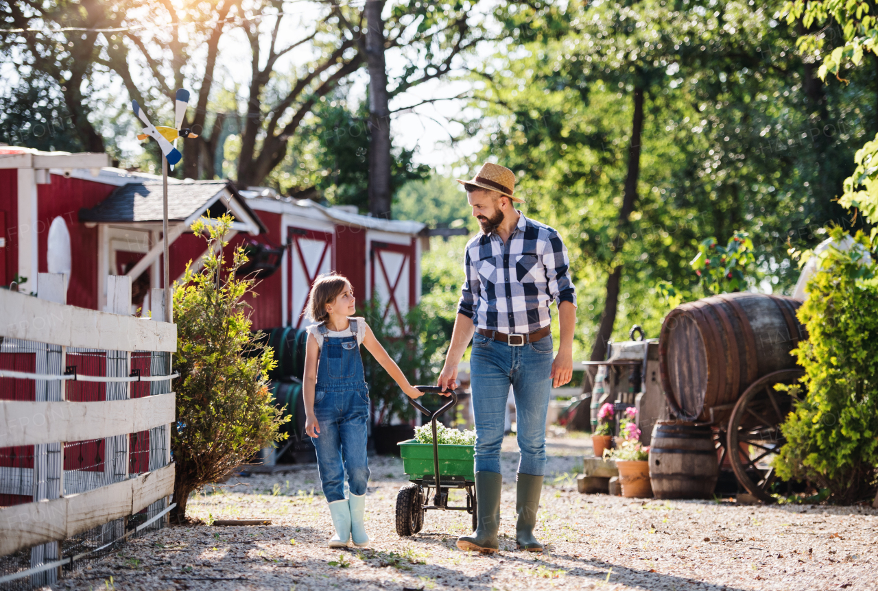 A mature father and small daughter with rubber boots walking outdoors on small family farm.