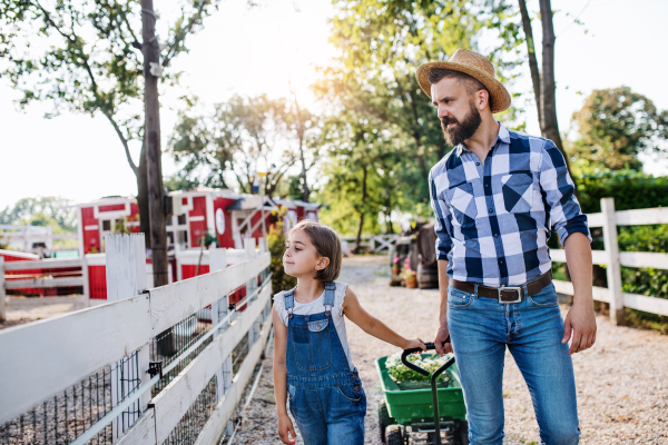 A mature father and small daughter with rubber boots walking outdoors on small family farm.