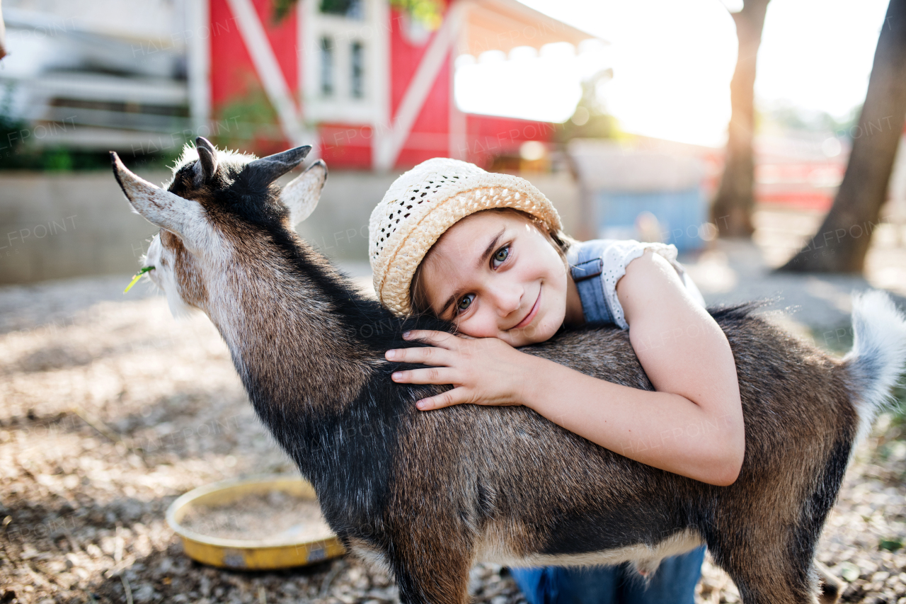 A portrait of happy small girl outdoors on family animal farm, hugging goat.