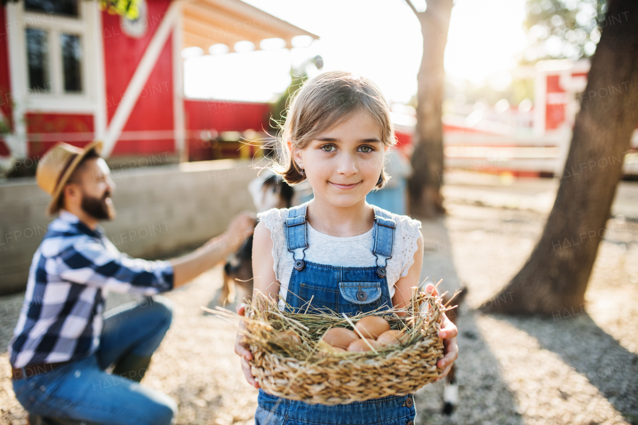 A small girl with father outdoors on family farm, holding basket with eggs.