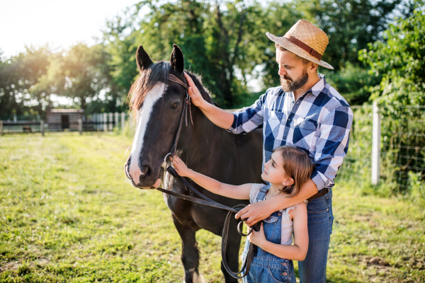 A mature father and small daughter with horse working on small family animal farm.