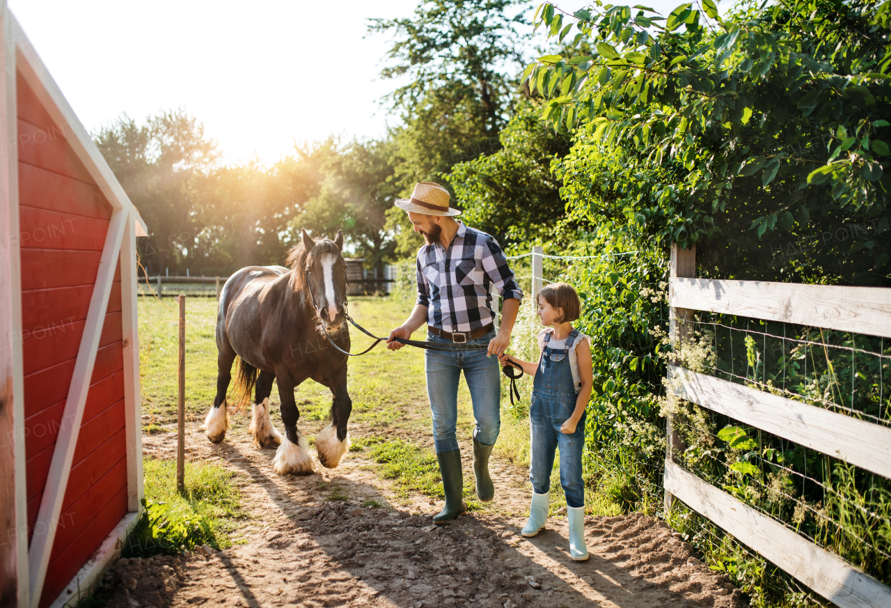 A mature father and small daughter with a pony horse working on small family animal farm.