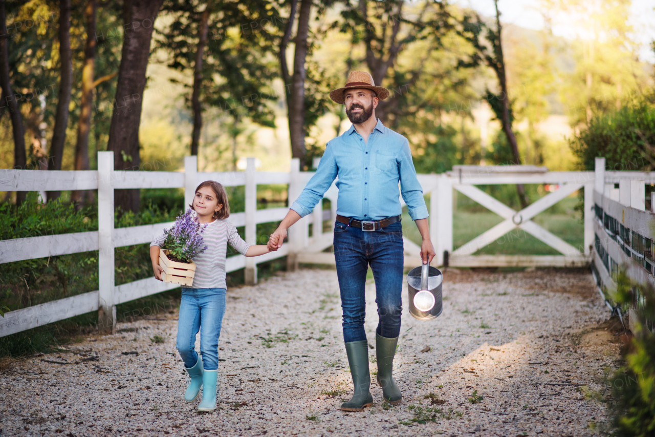 A mature father and small daughter with rubber boots walking outdoors on small family farm, holding hands.