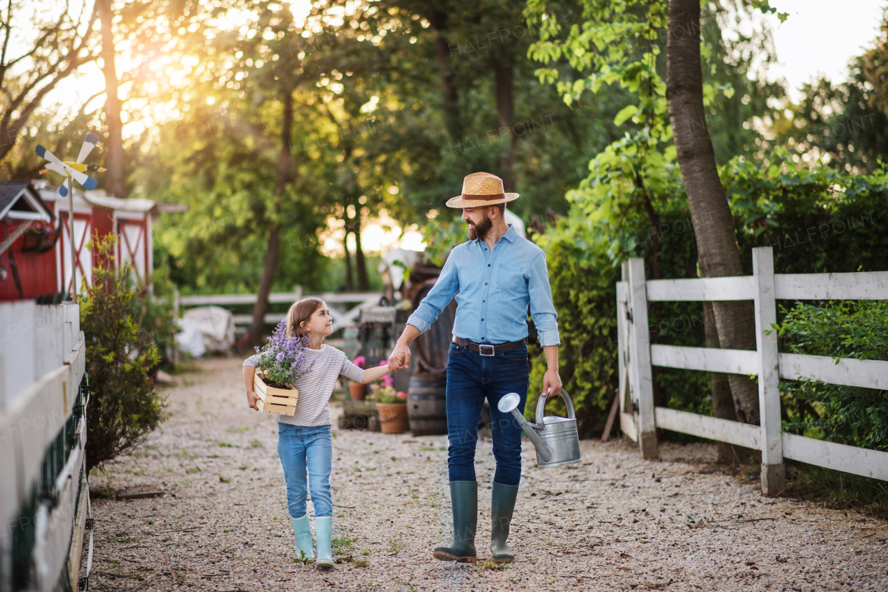 A mature father and small daughter with rubber boots walking outdoors on small family farm, holding hands.