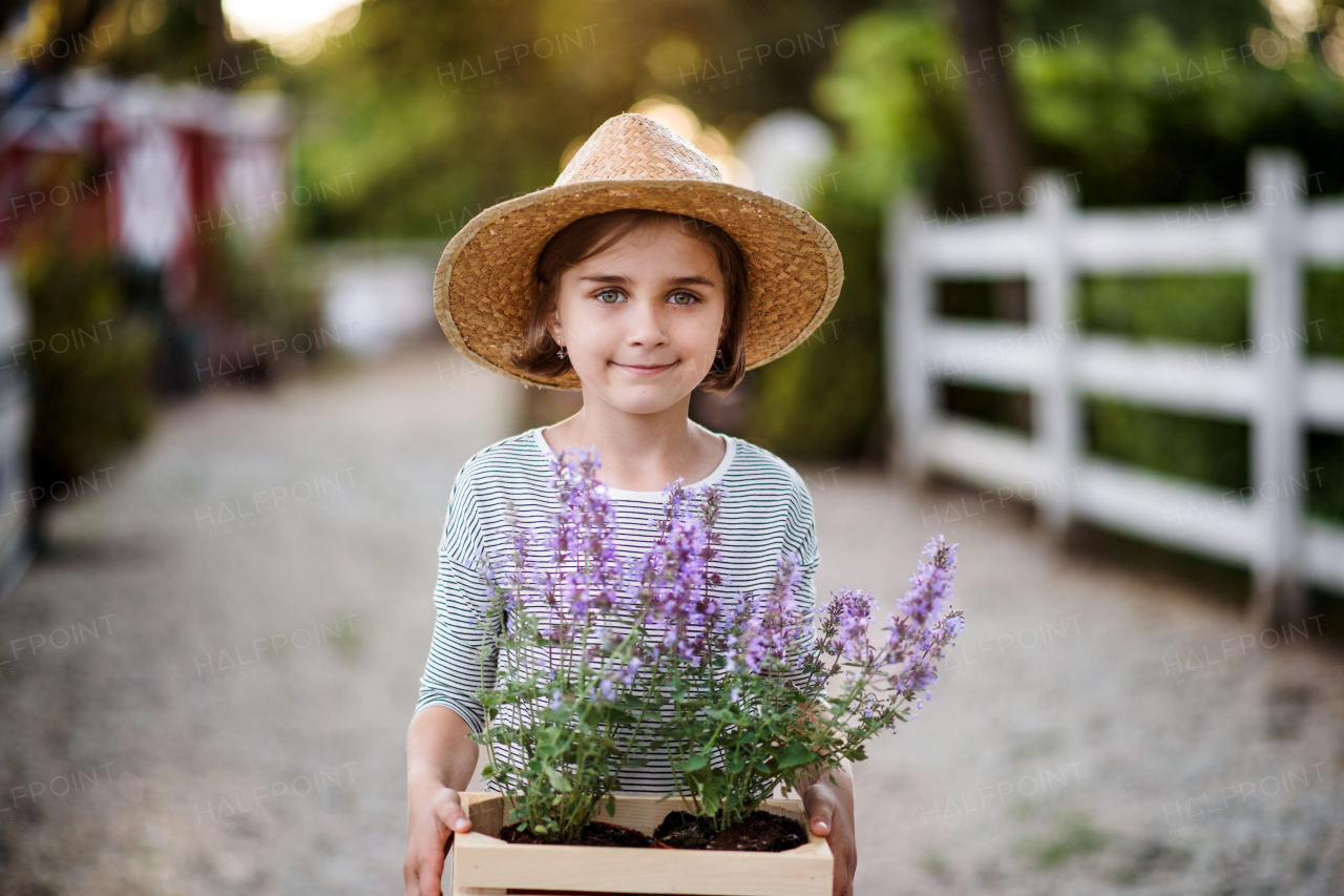 A front view of small girl with a hat standing outdoors on family farm, holding plants.