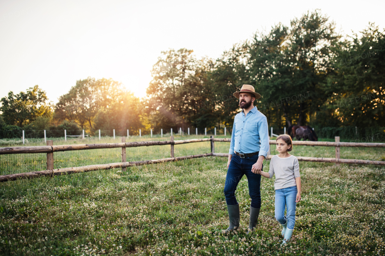 A mature father and small daughter with rubber boots walking outdoors on small family farm, holding hands.