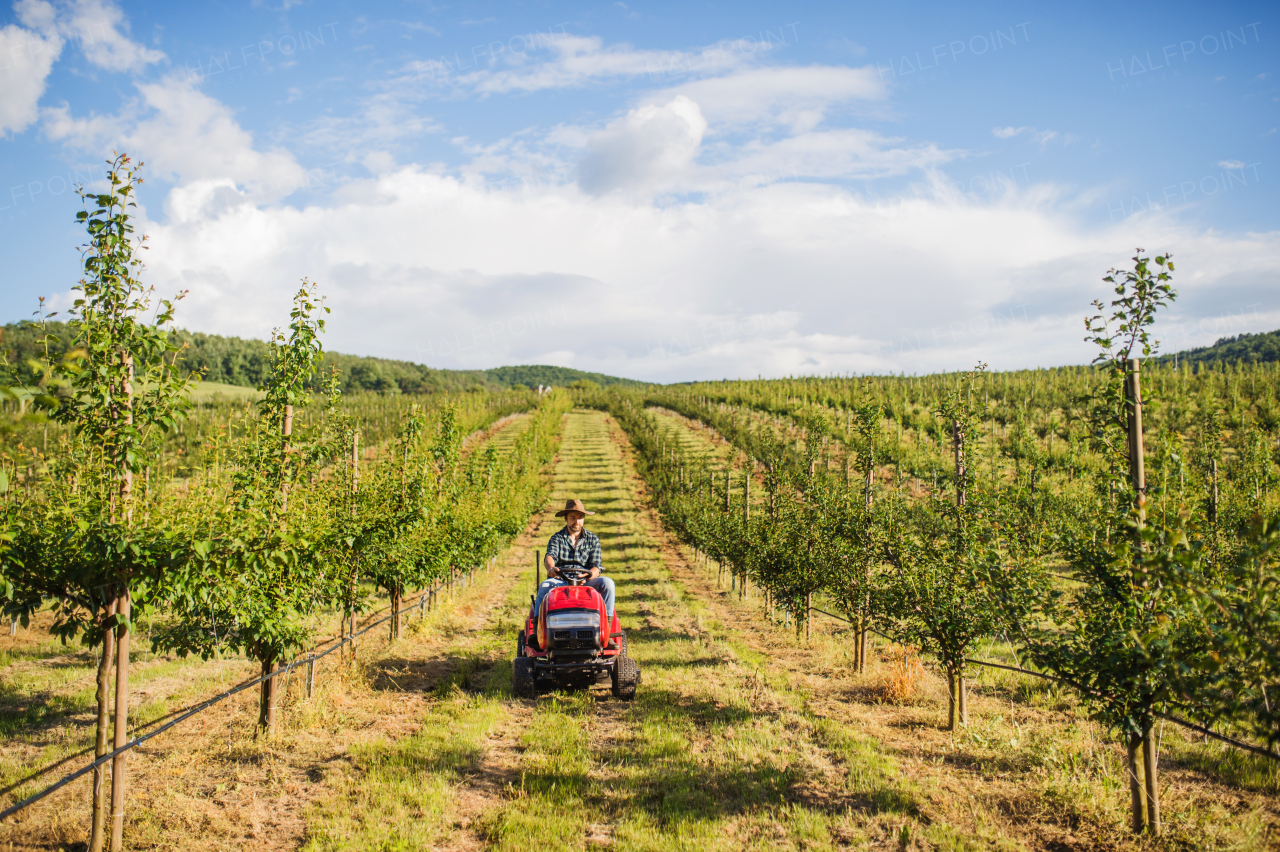 A front view of mature farmer driving mini tractor outdoors in orchard.