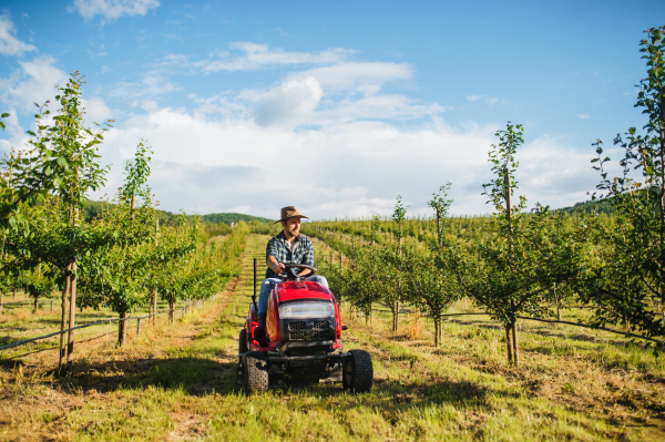 A front view of mature farmer driving mini tractor outdoors in orchard.