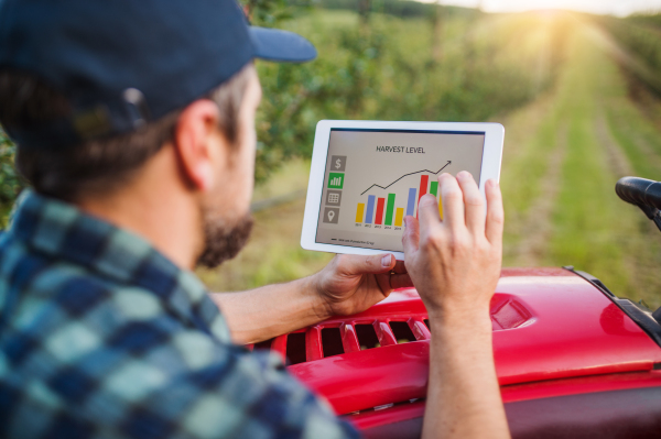 A mature farmer with tablet standing by mini tractor outdoors in orchard, checking harvest level.