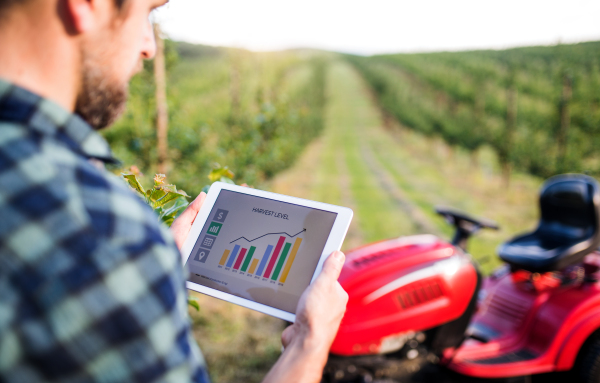 A mature farmer with tablet standing by mini tractor outdoors in orchard, checking harvest level.