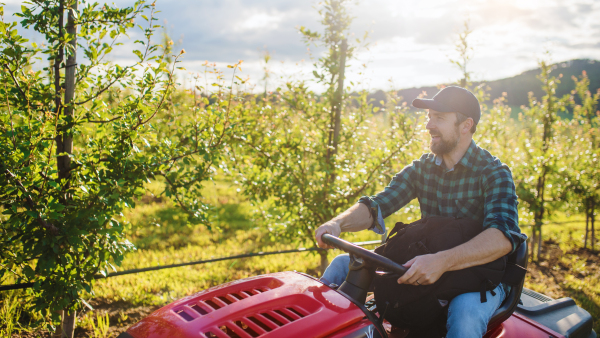 A front view of mature farmer driving mini tractor outdoors in orchard.