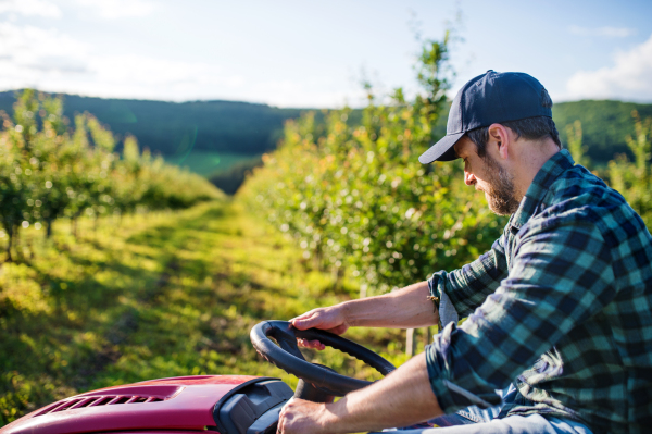 A side view of mature farmer driving mini tractor outdoors in orchard.