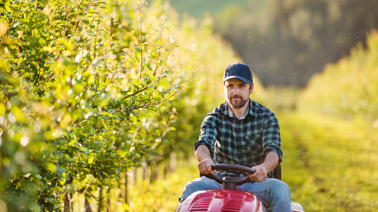 A front view of mature farmer driving mini tractor outdoors in orchard.